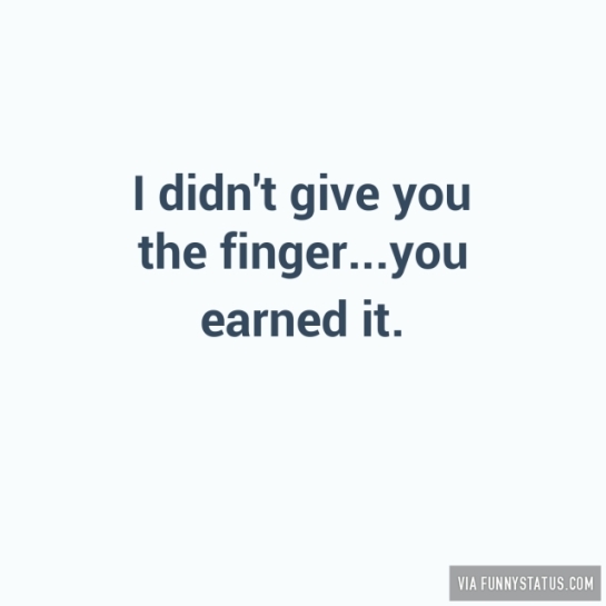 i-didnt-give-you-the-finger-you-earned-it-7319-640x640